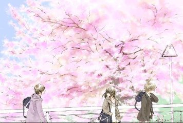 深入了解 芒果视频